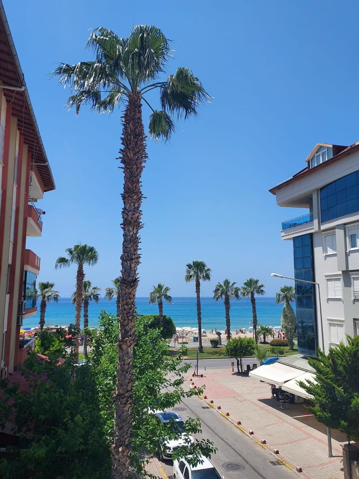 Kleopatra Sahara Hotel 阿拉尼亚 外观 照片